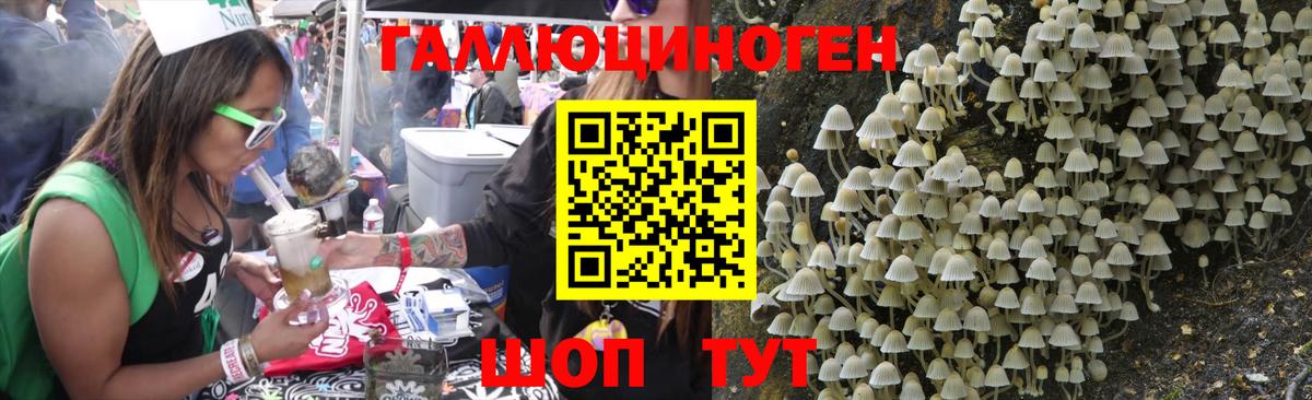 Псилоцибиновые грибы MAGIC MUSHROOMS  Вход с VPN  Псилоцибиновые грибы GOLDEN TEACHER  Батайск 